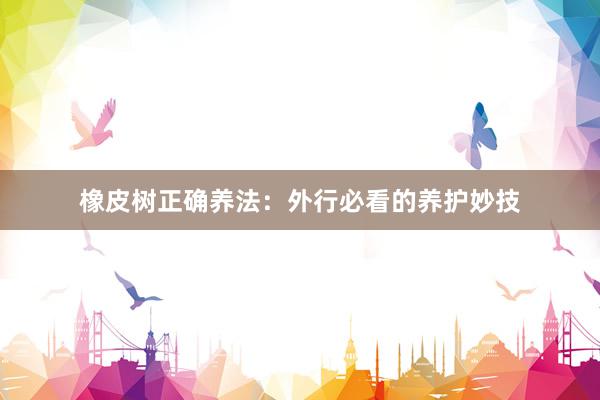 橡皮树正确养法：外行必看的养护妙技