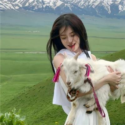 来自汪星的你