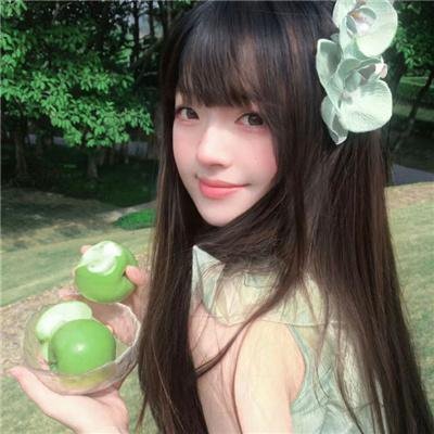 苍蝇